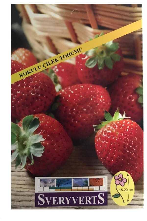Kokulu Çilek Tohumu Paket