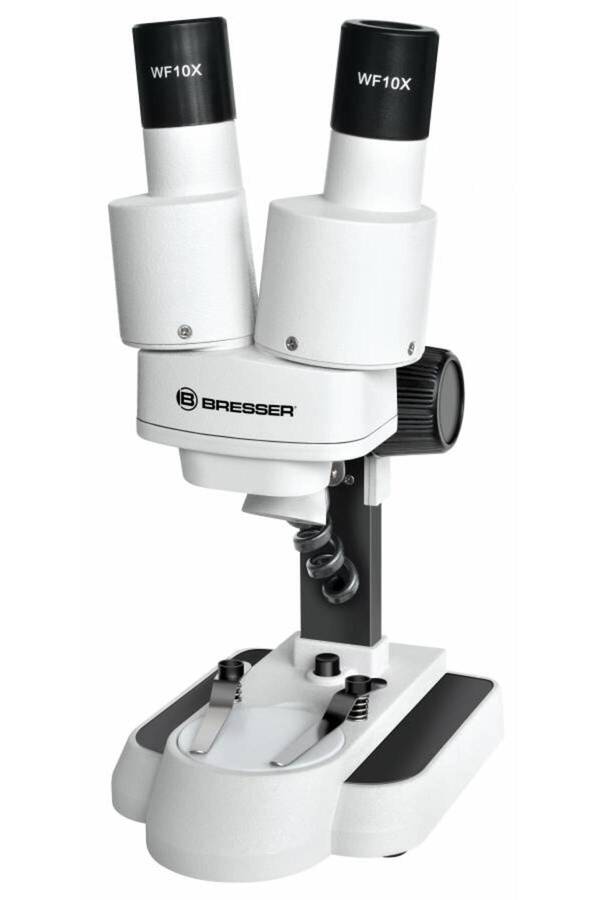 Junior 20x Stereo Microscope