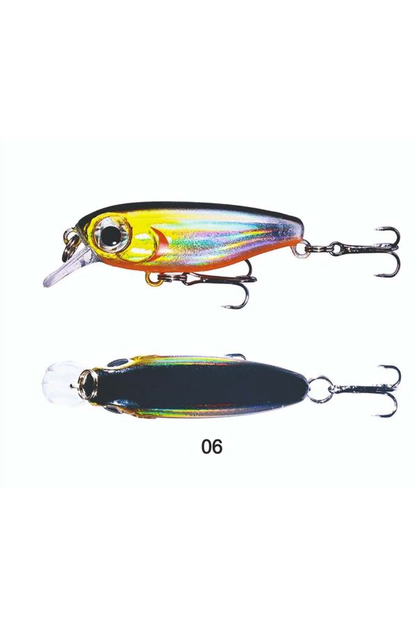 Big Eye Minnow 3.8 CM 2.8 GR - 06