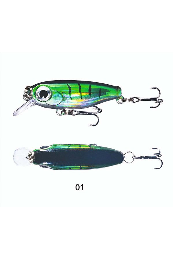 Big Eye Minnow 3.8 CM 2.8 GR - 01