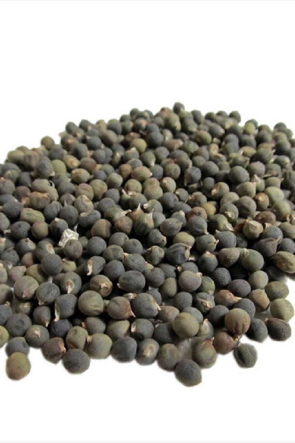 Bamya Tohumu İlaçsız 100 gr