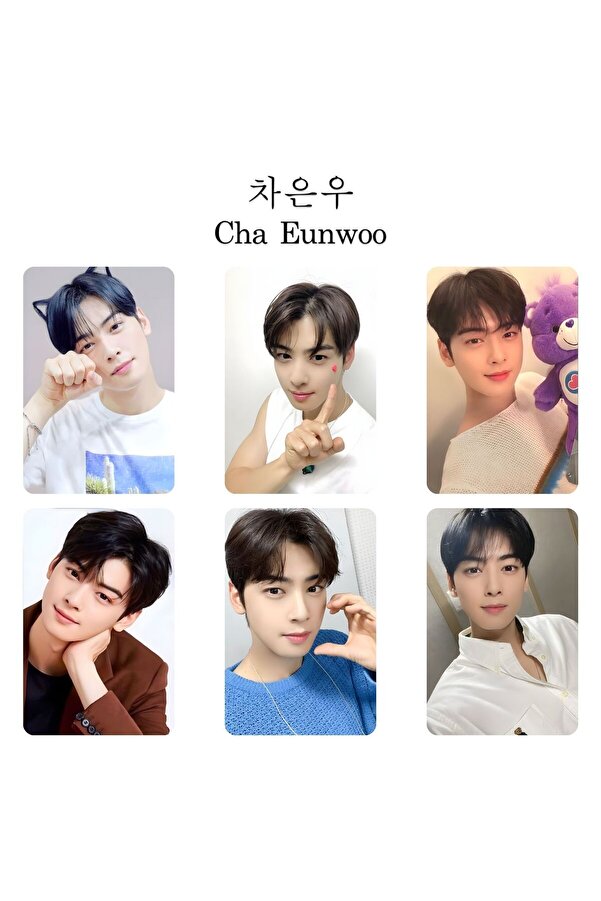 KDrama '' Cha eun woo '' Photocards Set