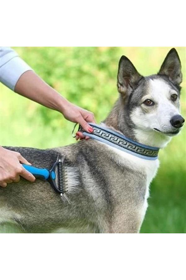 Isb01 Plastik Saplı Metal Kedi Köpek Bakım Kıtık Tüy Topak Açıcı Tarak (Işbaşı)