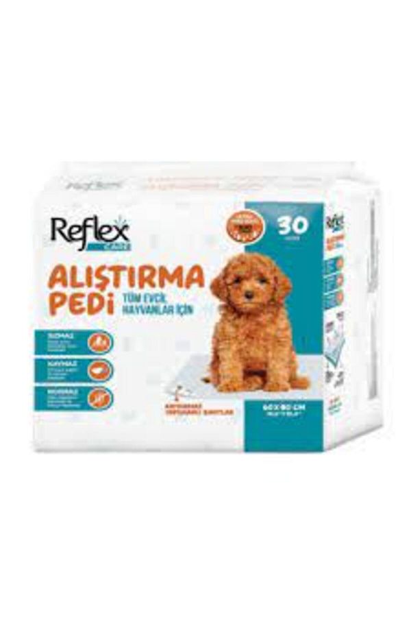 Care Kaydırmaz Köpek Alıştırma Pedi 60x90cm (30'LU)