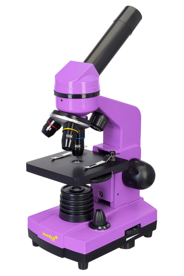 Raınbow 2l Amethyst/ametist Mikroskop (2818)