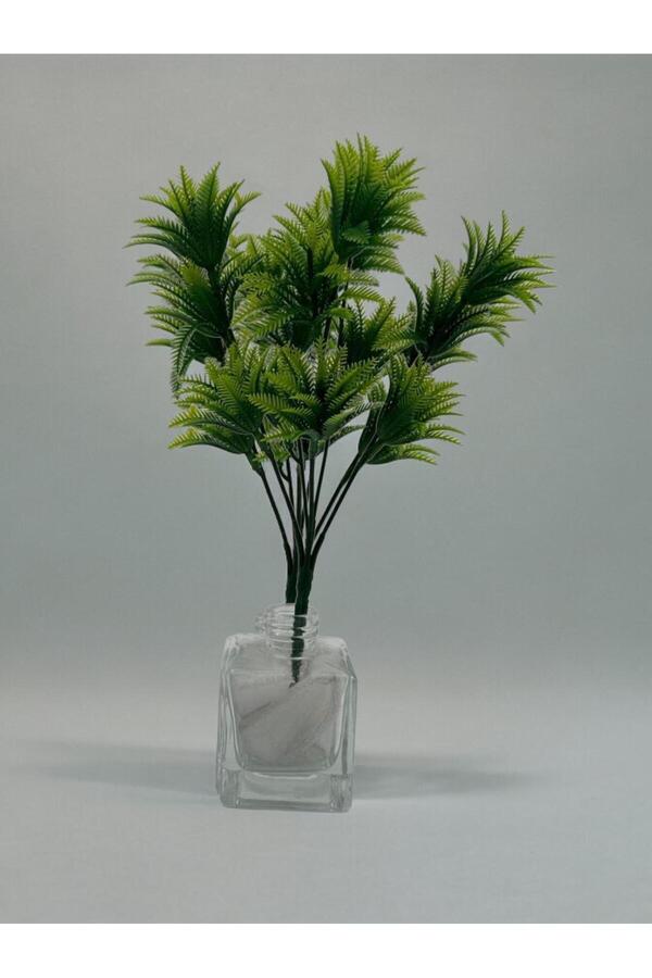Yapay Asparagus Eğrelti Otu Bitkisi 5'li (Saksı Dahil Değildir)