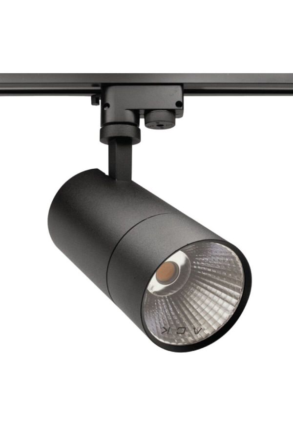 30w Led Ray Spot Cob 3000k Günışığı - Siyah Kasa