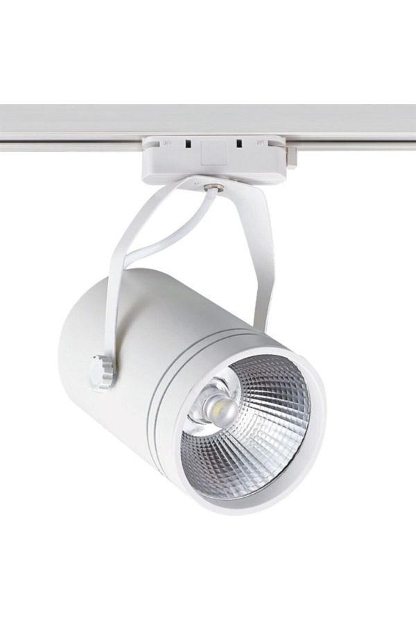 30w Led Ray Spot Cob 4000k - Beyaz Kasa - Ad30-01910