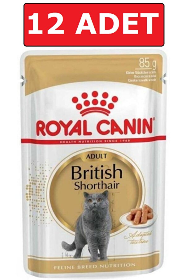 Royal Canın British Shorthair Kedi Konservesi Pouch 85 Gr 12 Adet Yaş Mama