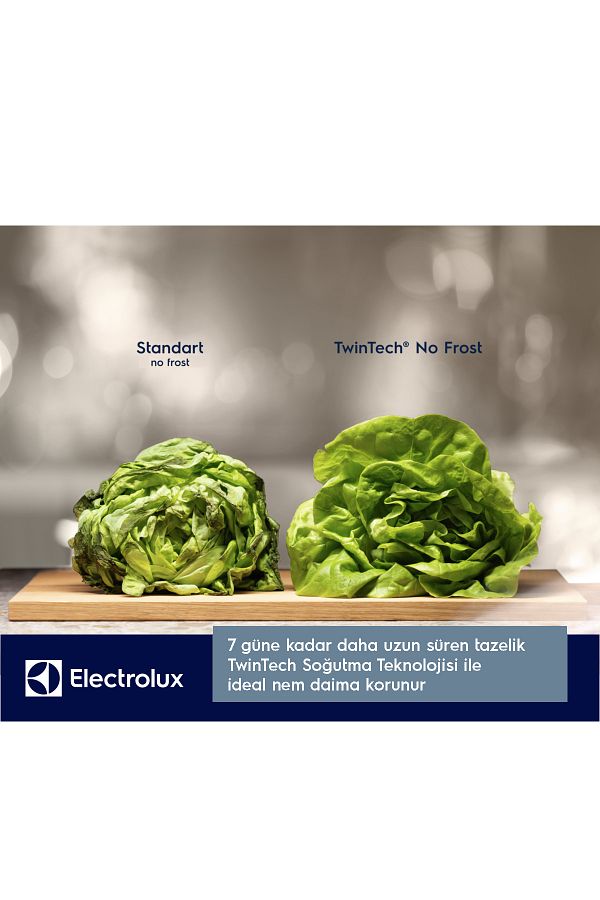Electrolux Lnt6me46x3 481 Litre No Frost Kombi Buzdolabı - Görsel 5