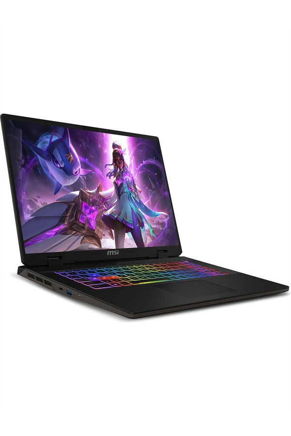 MSI SWORD 17 HX B14VGKG i9-14900HX 64GB 256GB SSD RTX4070/8GB 105W 17" FHD+ 165HZ W11P & PER4 ÇANTA - Görsel 2