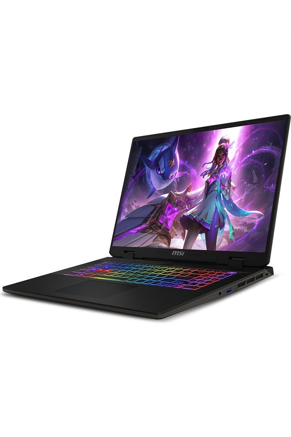 MSI SWORD 17 HX B14VGKG i9-14900HX 64GB 256GB SSD RTX4070/8GB 105W 17" FHD+ 165HZ W11P & PER4 ÇANTA - Görsel 3