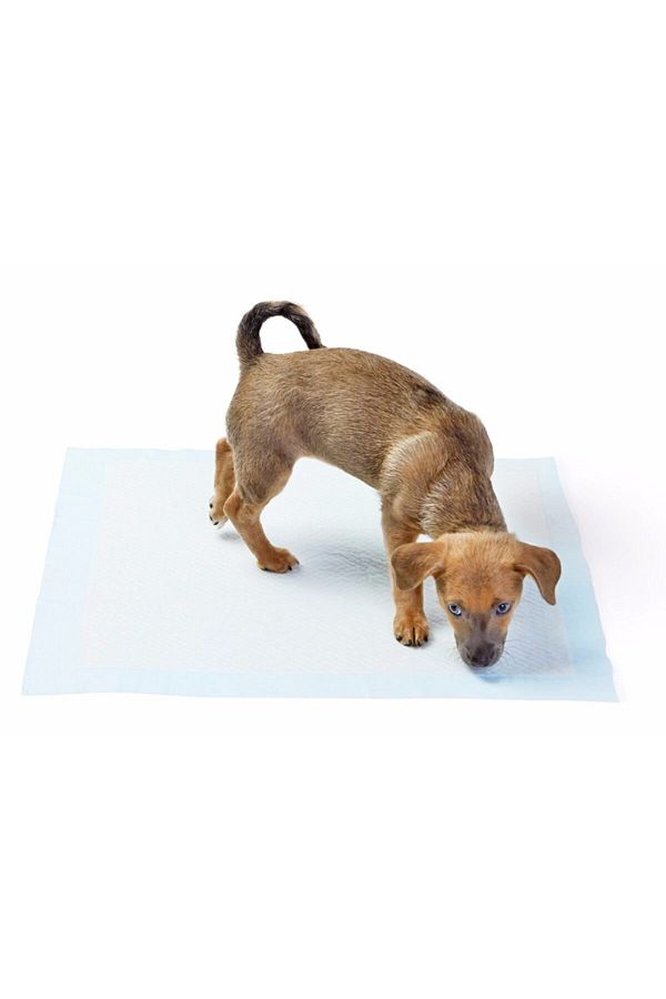 Yıkanabilir Köpek Çiş Pedi 90x60 cm