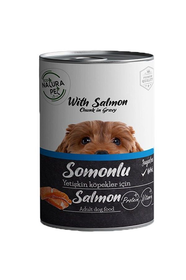 Adult Somonlu Yetişkin Köpek Konservesi 400 gr
