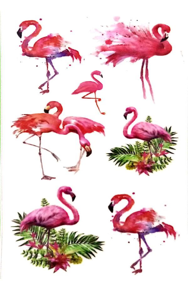 Tattoo Geçici Dövme Flamingo Modelleri