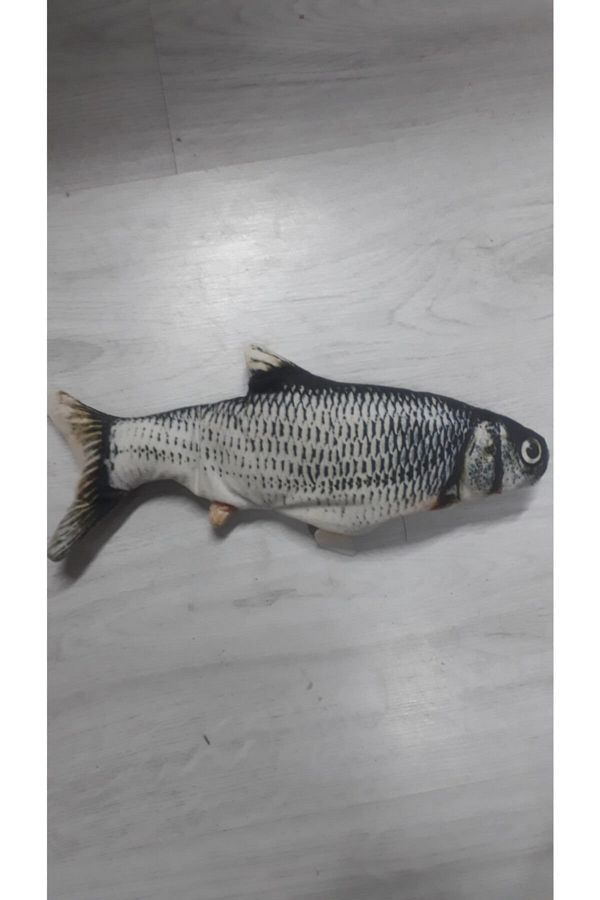 Hareketli Balık