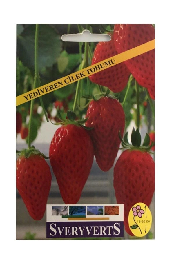 Yediveren Çilek Tohumu Paket
