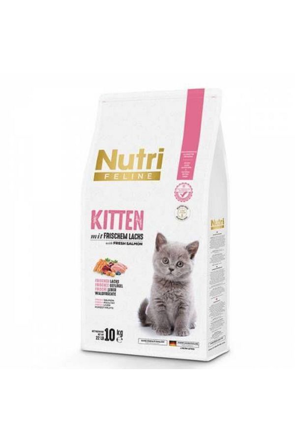 Kitten Somonlu Yavru Kedi Maması 10 Kg Blue Petshop