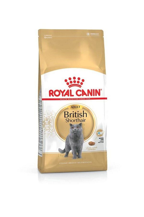 British Shorthair Kedi Maması - 2 Kg Feniks Cat and Dog