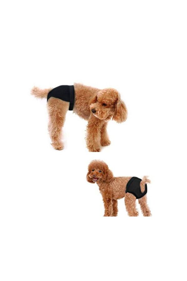 Pets Go Köpek Regl Külodu Medium Kırmızı_1