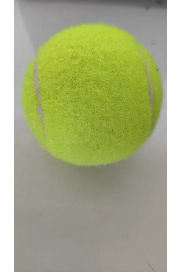 Düdüklü Köpek Tenis Topu Oyuncak_2