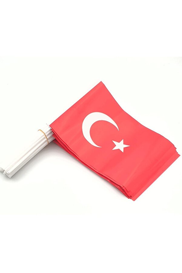 10 Adet Çubuklu Kağıt Türk Bayrağı Çıtalı Sopalı Ayyıldız Baskılı Bayrak