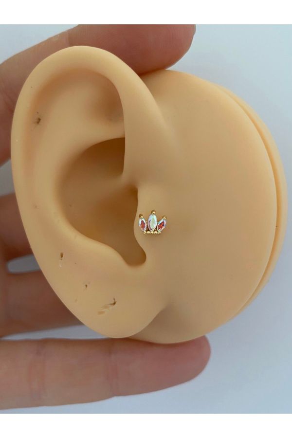 Cerrahi Çelik Lotus Tragus Helix Conch Lobe Uyumlu Piercing Küpe_0