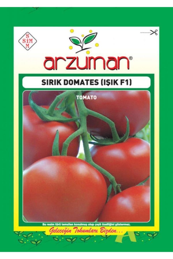 Işık Sırık F1  Paket 10 Tohum Arzuman Domates Tohumu