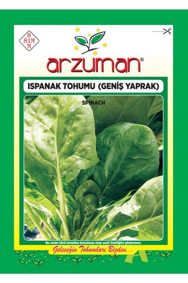 Arzuman Ispanak Tohumu Geniş Yaprak Matador 10 gr