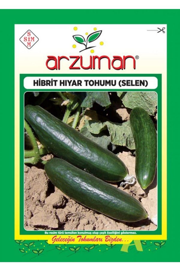 Arzuman Silor Badem F1 Oturak Salatalık Hıyar Tohumu 50 Tohum