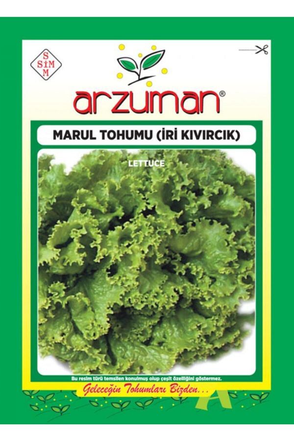 Arzuman Marul Tohumu Iri Kıvırcık 10 Gr