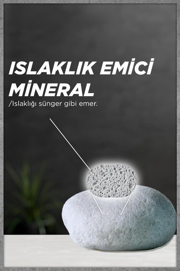 Men Lekesiz Koruma Roll On_3