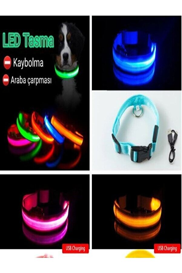 Süper Led Işıklı Boyun 3 Kademeli Tasması Kedi Köpek Boyun Tasması Yanıp Sönen