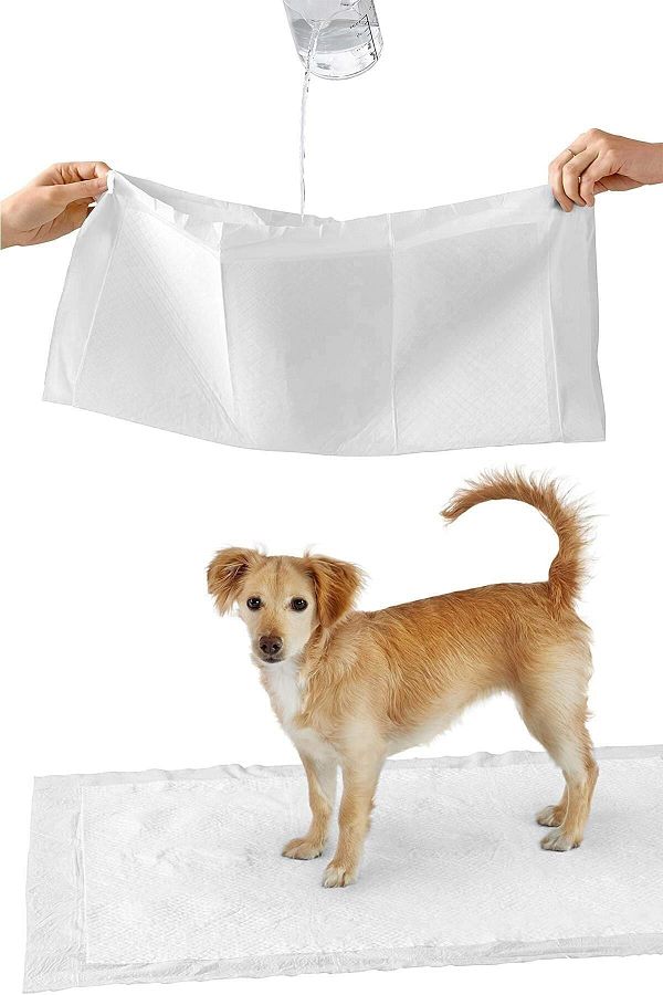 Köpek Çiş Pedi 30'lu Paket Çabuk Kuruyan Sızdırmaz Katmanlı Köpek Tuvalet Eğitimi 60x90cm