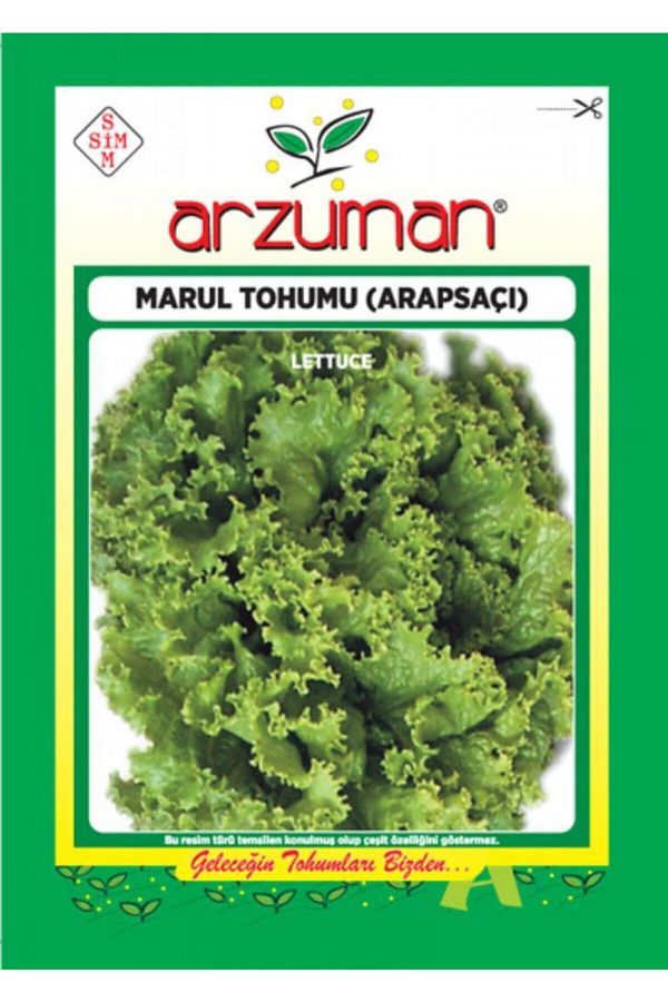 Arzuman Marul Tohumu Arapsaçı Kıvırcık 10 gr
