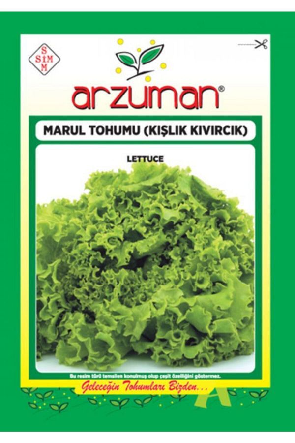 Marul Tohumu Kışlık Kıvırcık 10 gr