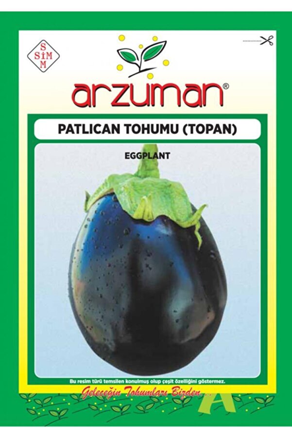 Arzuman Topan Patlıcan Tohumu 10 Gr Aktarix