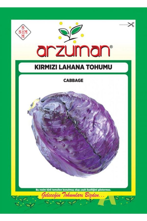 Arzuman Kırmızı Mor Lahana Tohumu 10 Gr