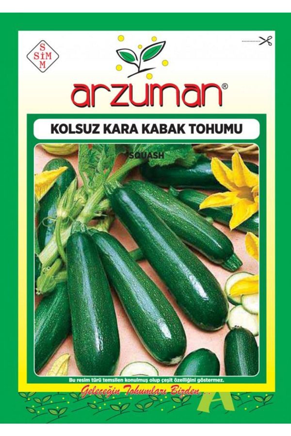 Arzuman Siyah Kabak Tohumu 10 Gr