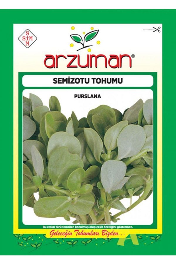 Arzuman Semizotu Tohumu 10 Gr Semiz Otu