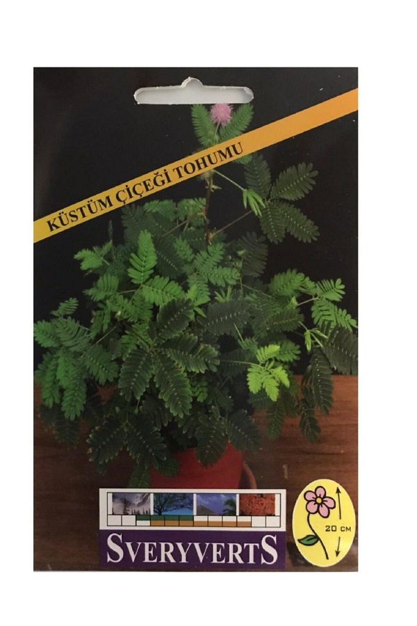 Küstüm Çiçeği Tohumu  Paket