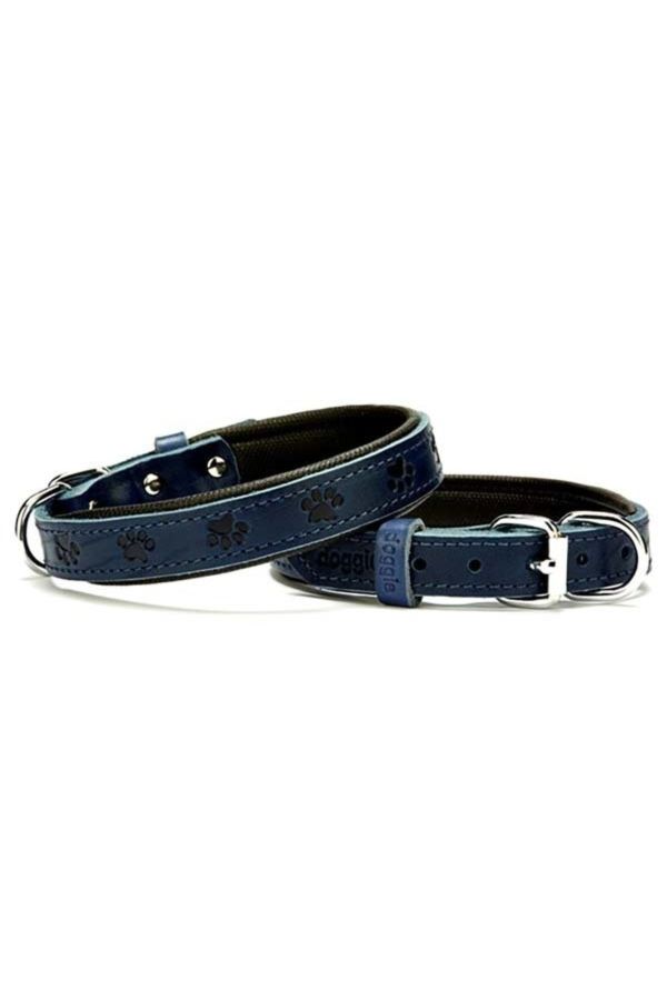 Comfort Deri Kemik Desenli Köpek Boyun Tasması Medium Mavi 2x35-40 Cm