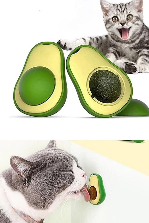 Avokado Catnip Avokado Kedi Çimi Topu Avokado Kedi Nanesi Oyuncağı Avakado Kedi Yalama Oyuncak Bizim City Petshop