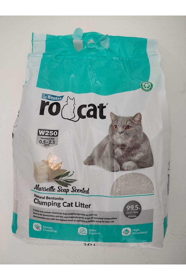 Kedi Kumu