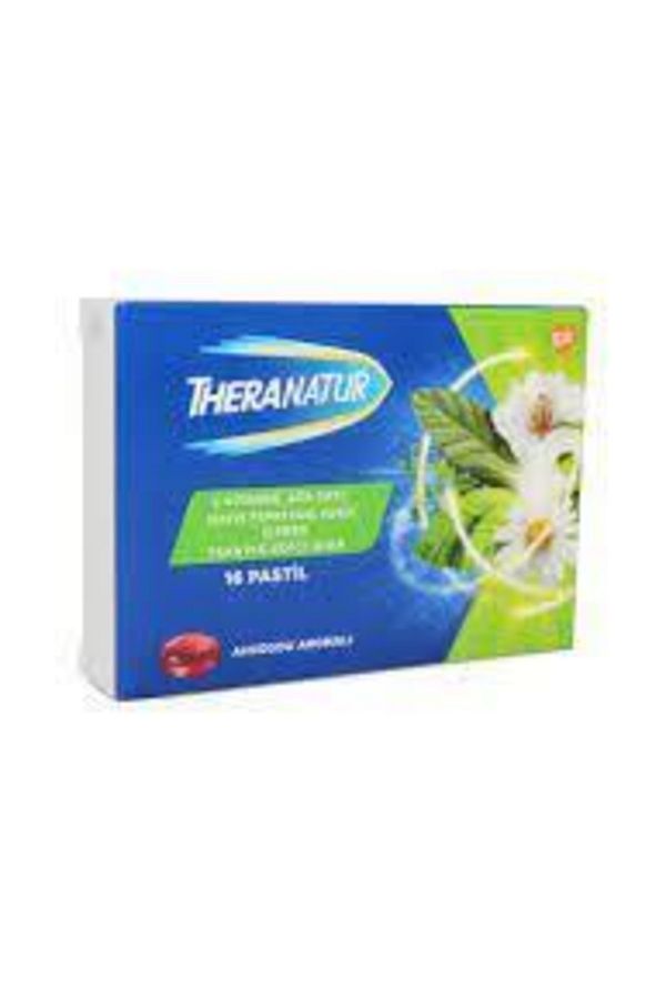 Ahududu Aromalı Pastil 16lı