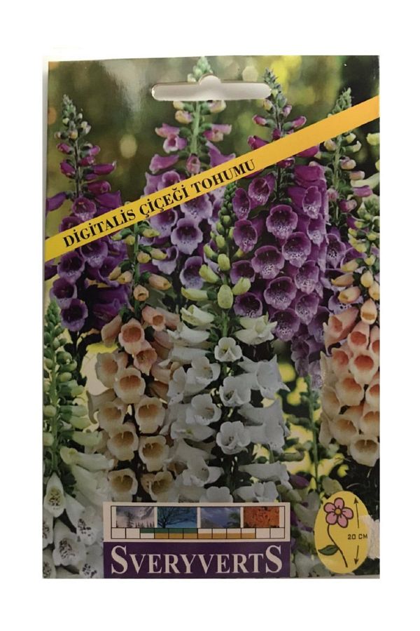 Digitalis Çiçeği Tohumu Paket