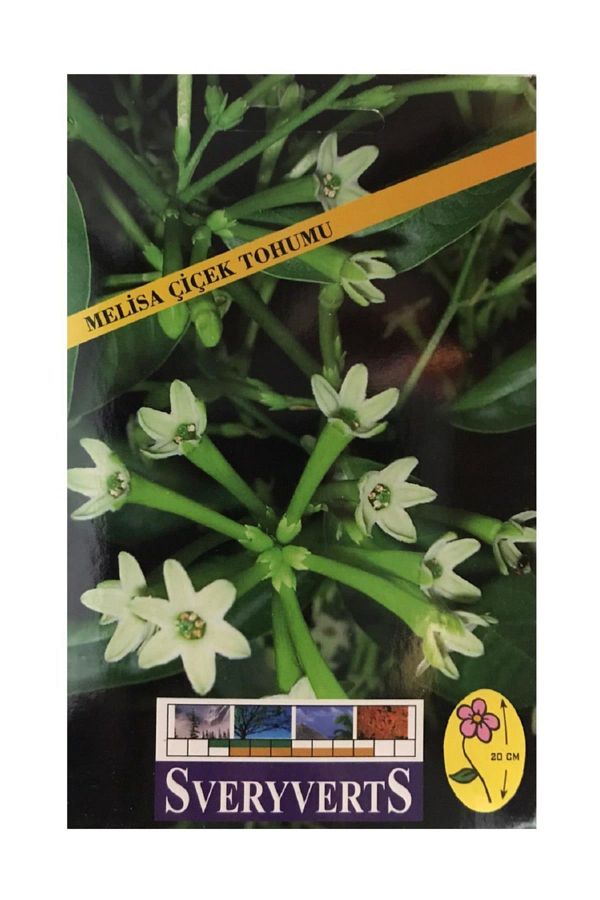 Melisa Çiçeği Tohumu Paket