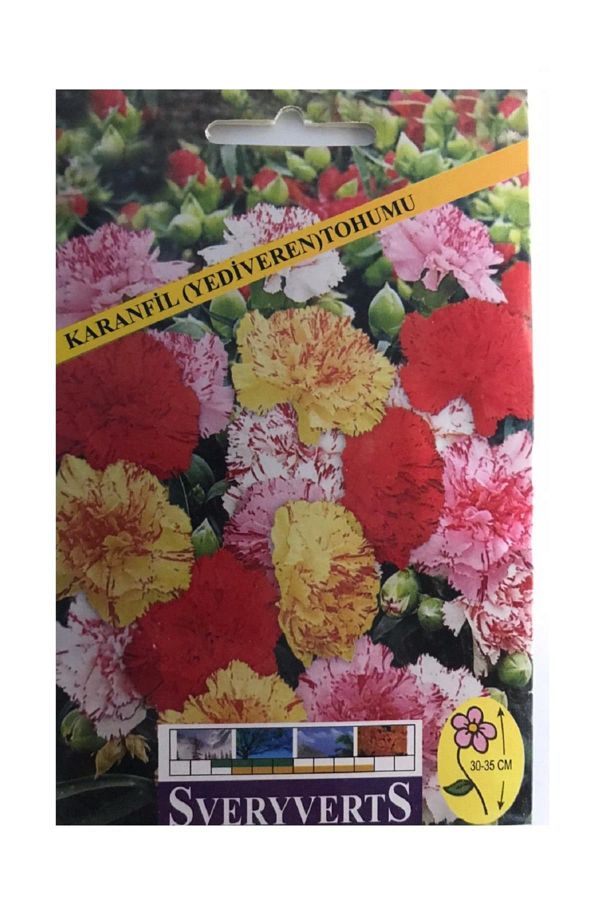 Karanfil Çiçeği Tohumu Yediveren Paket