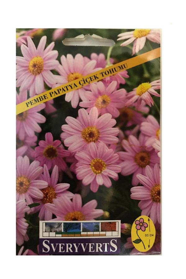 Pembe Papatya Çiçeği Tohumu Paket