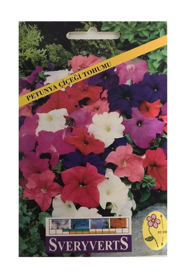 Petunya Çiçeği Tohumu Paket
